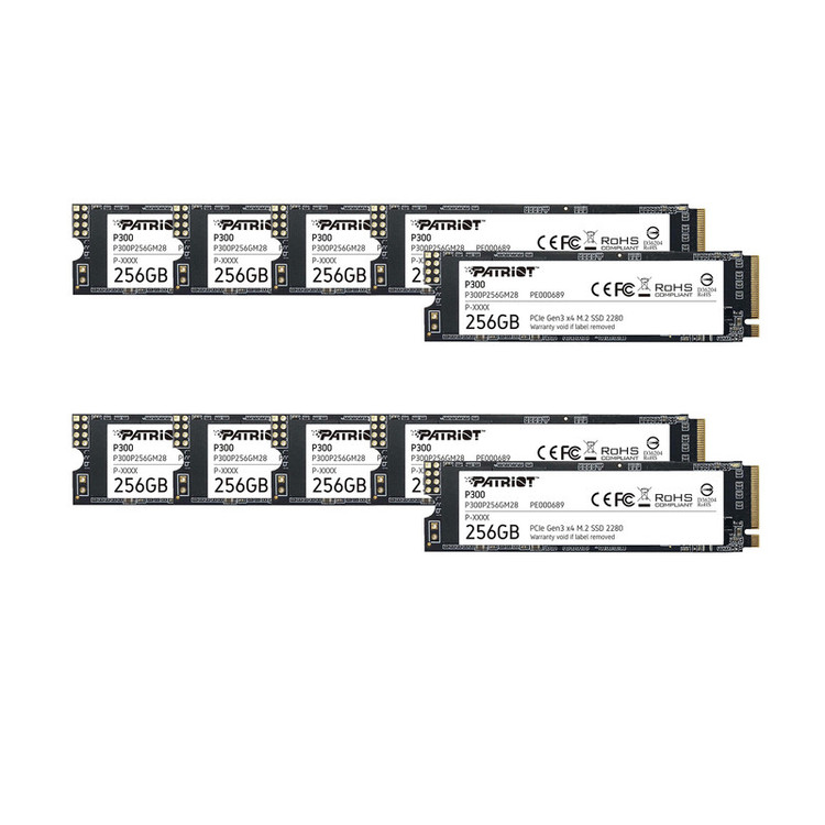 اس اس دی اینترنال پتریوت مدل P300 ظرفیت 256 گیگابایت
